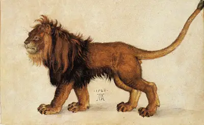 The Lion Albrecht Durer